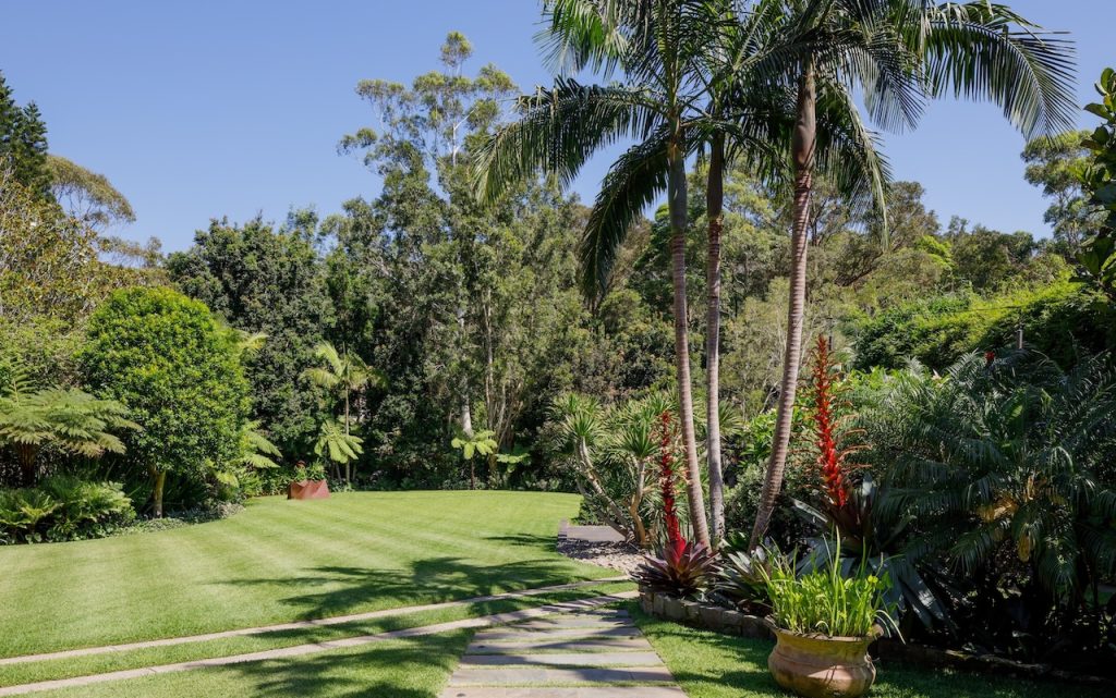 gardens established backyard