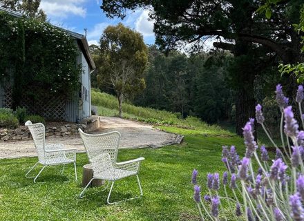 garden established pool