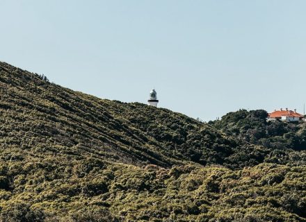 Barefoot House, Byron Bay 7