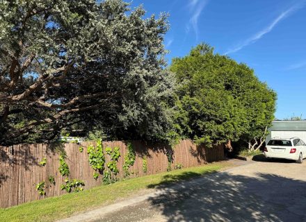 driveway garage