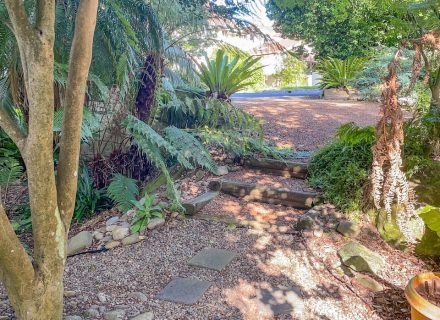 Benson Creek, Lindfield22