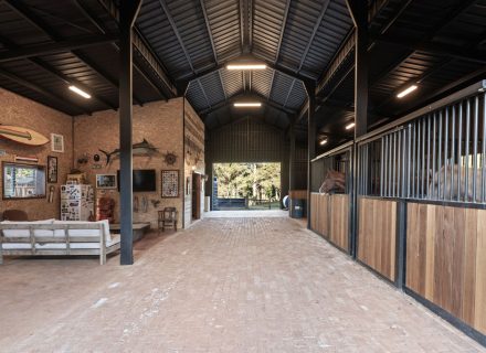 Coastal Stables, Alstonvale-56