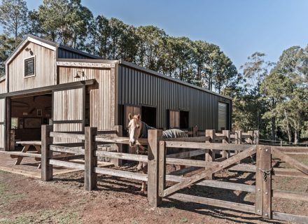 Coastal Stables, Alstonvale-75