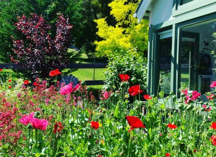 Flowerfield Cottage, Hartley 18