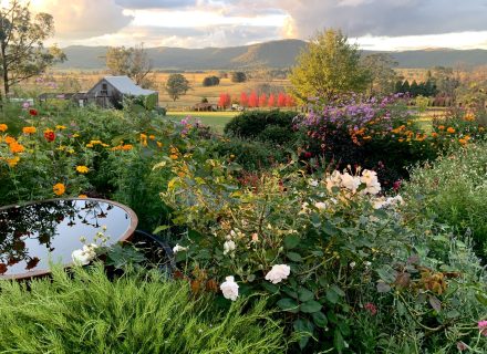 Flowerfield Cottage, Hartley 20