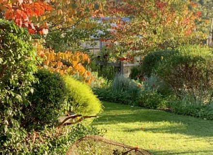 Flowerfield Cottage, Hartley 21