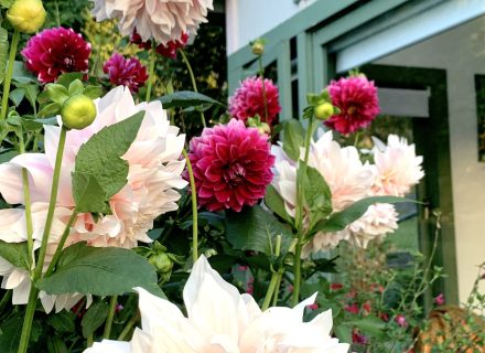 Flowerfield Cottage, Hartley 23