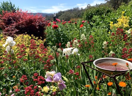 Flowerfield Cottage, Hartley 24