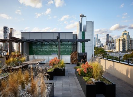 outdoor area backyard garden established pool