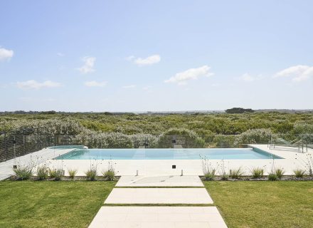 backyard pool garden established