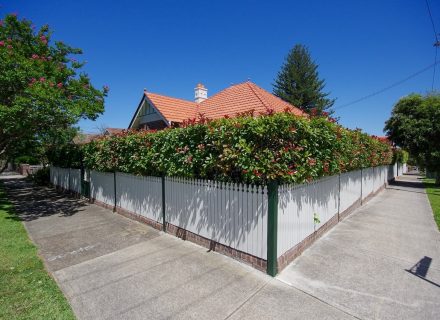 Lyle Cottage, Haberfield 11