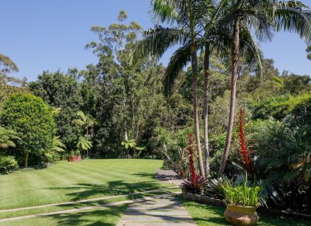 gardens established backyard