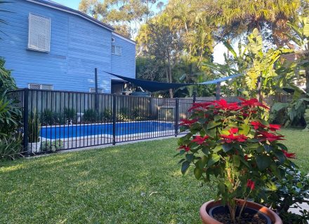 backyard pool garden established