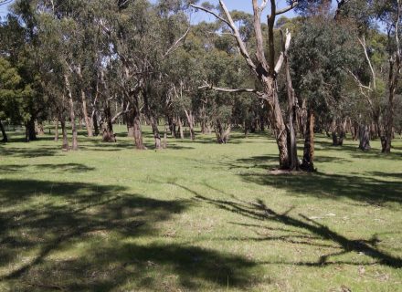 Powerhouse, Mount Macedon 52