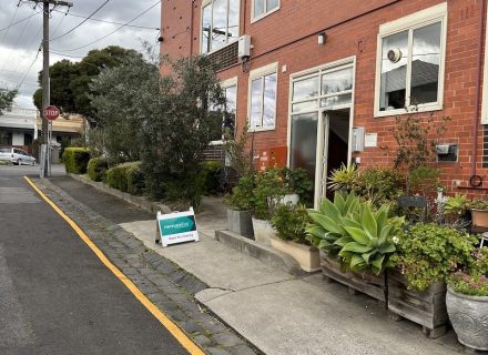 outdoor area garden established