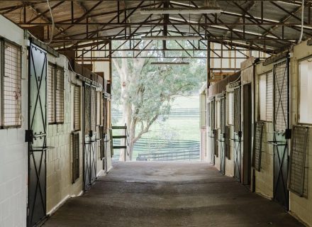 Saddlery Estate, Dural_22