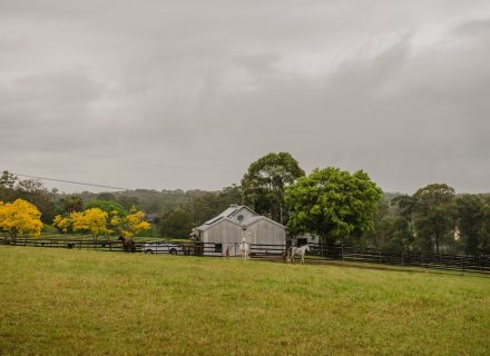 Saddlery Estate, Dural_25