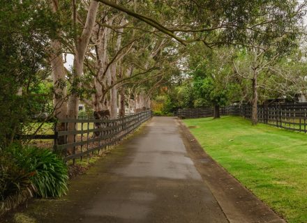 Saddlery Estate, Dural_37