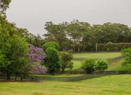 Saddlery Estate, Dural_46