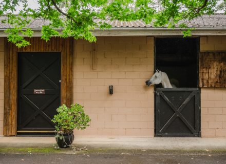 Saddlery Estate, Dural_68