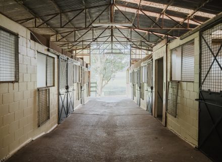 Saddlery Estate, Dural_71