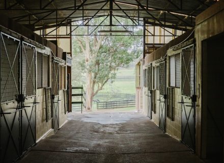 Saddlery Estate, Dural_72