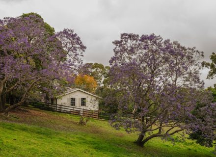 Saddlery Estate, Dural_75