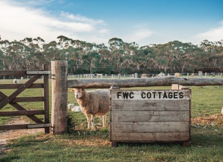 Sunflower Cottages, Freshwater Creek 5