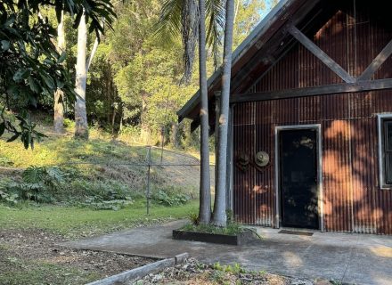 The Sheds, Currumbin Valley 59