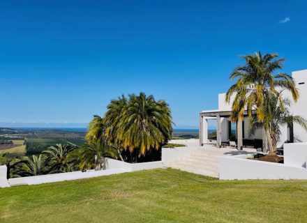 Villa-Palmas-Byron-Bay-Outdoor.jpeg